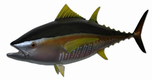 38in Fiberglass Yellow Fin Tuna Half-mount Wall Decor